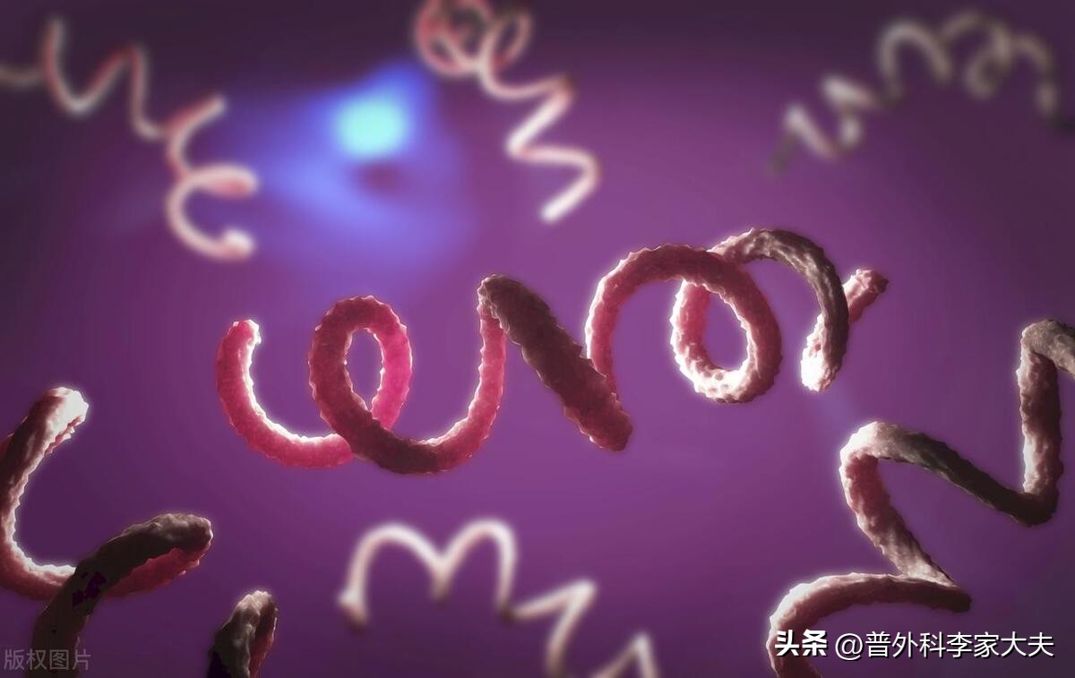 通过性传播的疾病有哪些,可以通过性传播的感染病有哪些