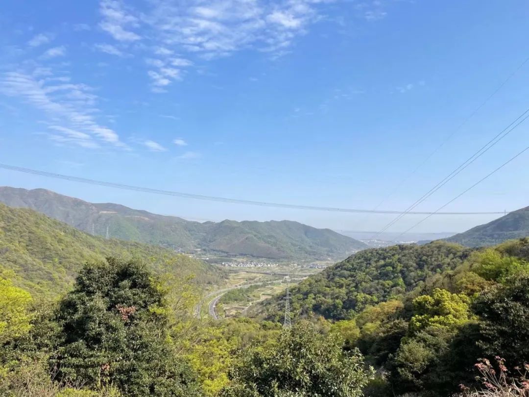 劳务分包合同管理费,劳务分包合同价格综合优惠下降率