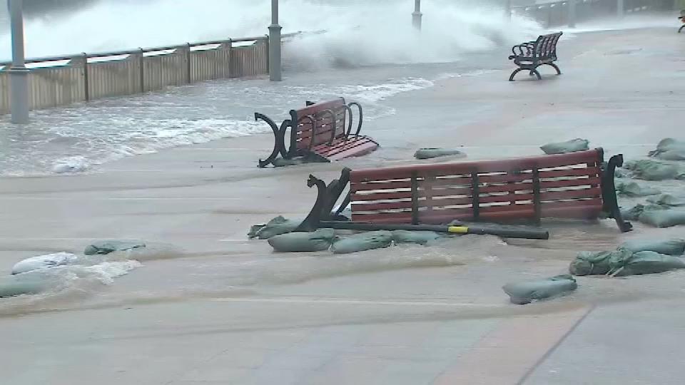 香港海域突现百万鲳鱼，背后原因令人唏嘘