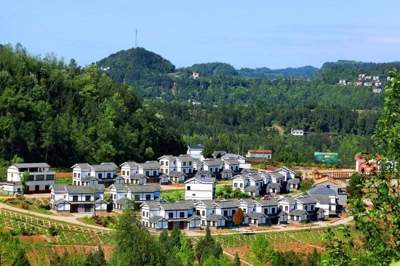 这些不起眼的小生意也能发大财！农村创业的五大黄金领域