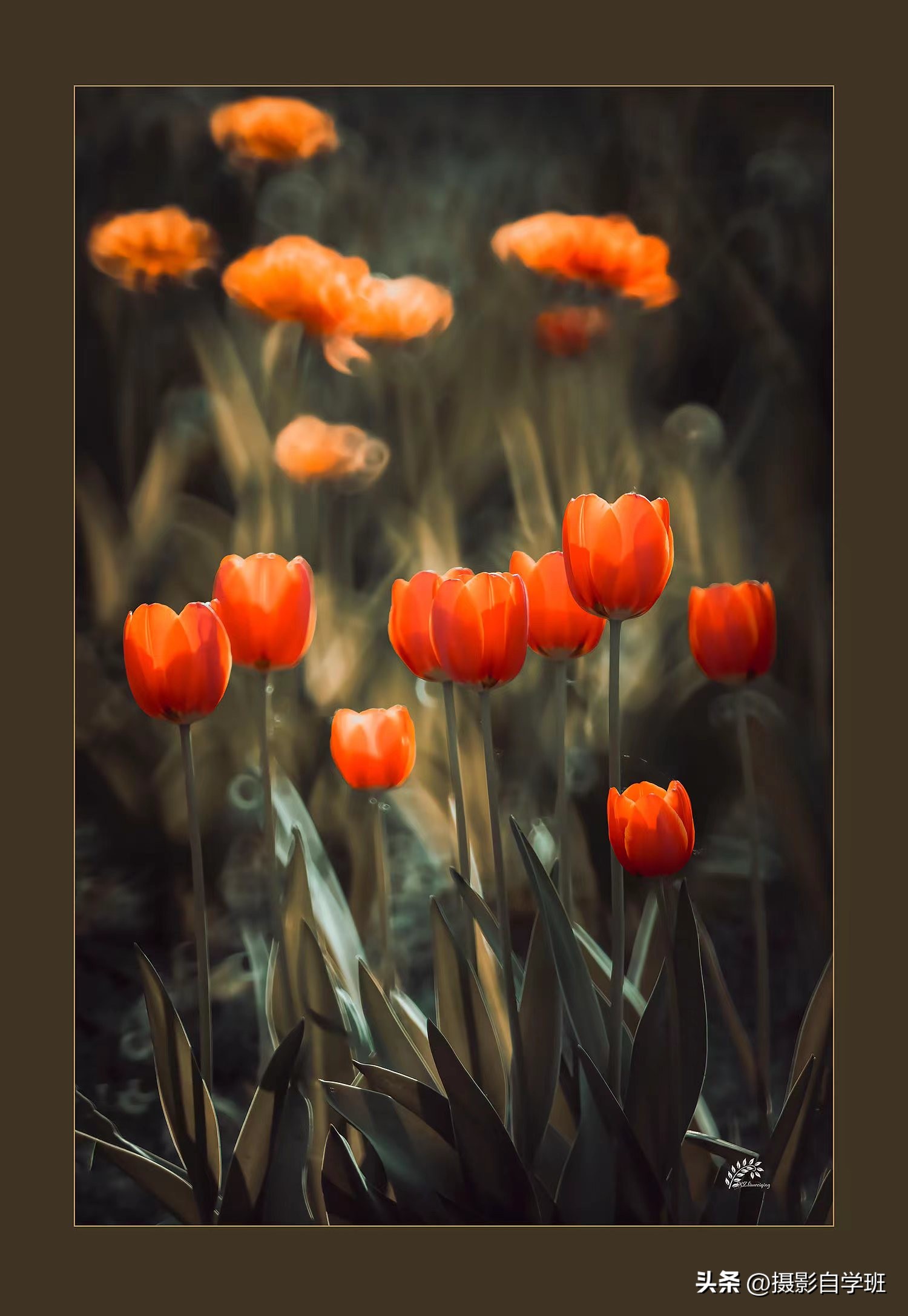 摄友投稿图片,摄友投稿旅行记录图