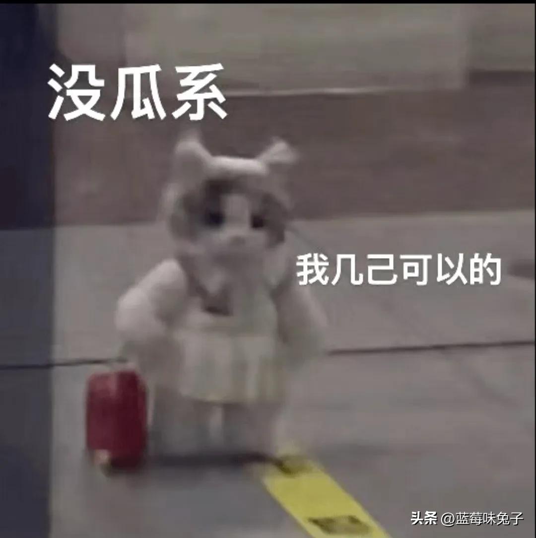 太搞笑了！那些*人用成品**无人店新公司的套路