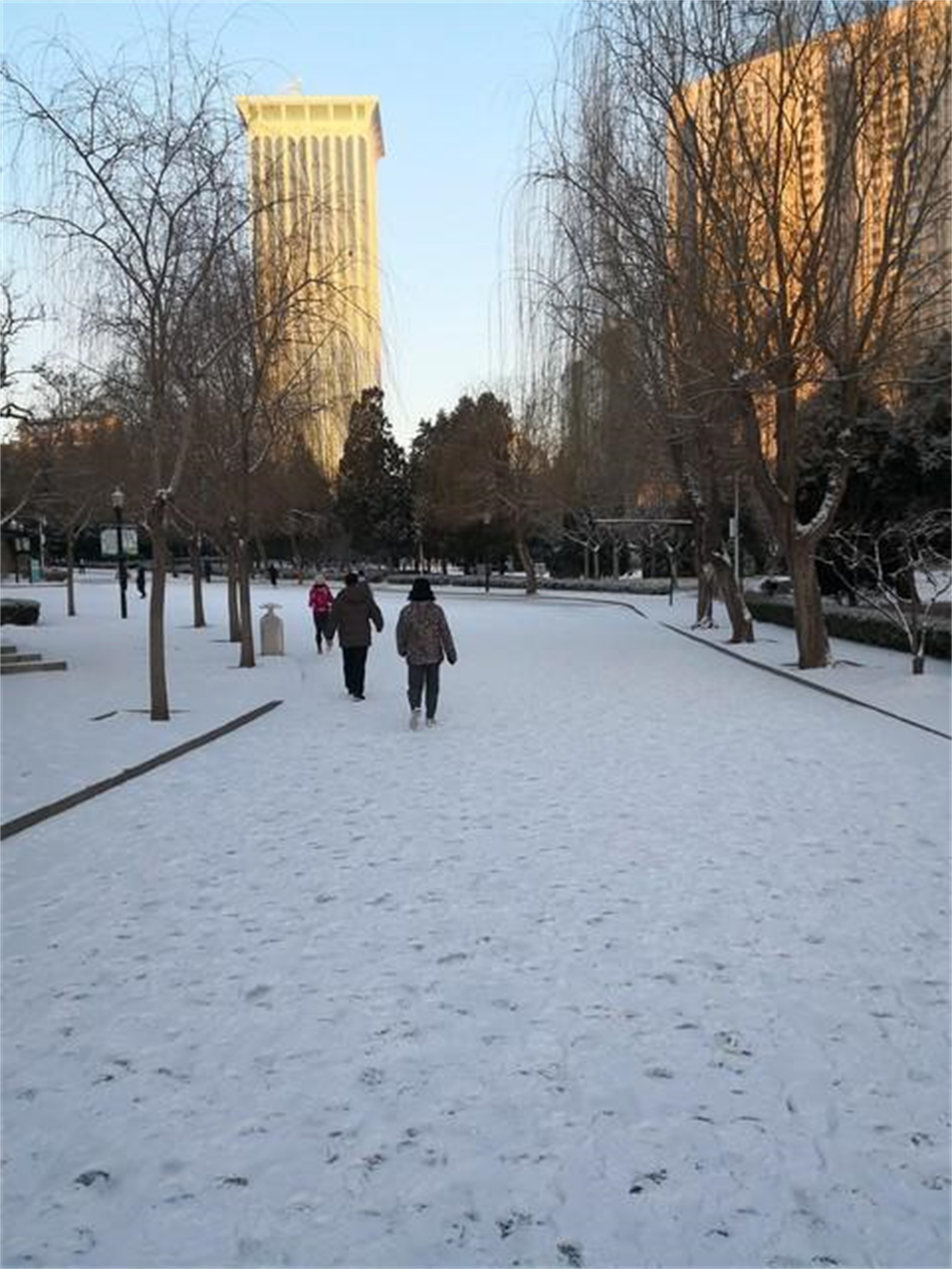 天气预报强冷空气雨雪,天气预报冻雨强降雪