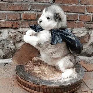 热门微信表情包收藏,微信那些可爱的表情包