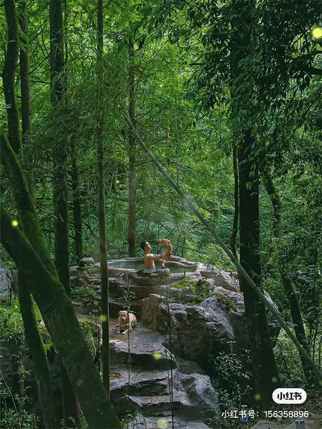 躲进山里民宿,躲在深山老林的民宿