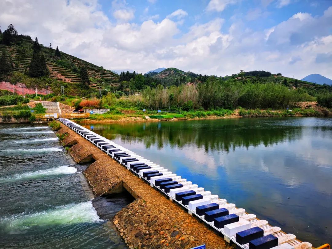 双洋南洋水仙在洋作者：詹鄞森