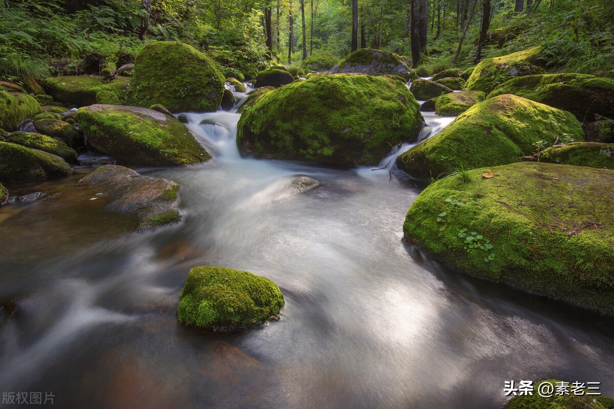 女作家去做保姆和雇主过招,女作家去做保姆982集