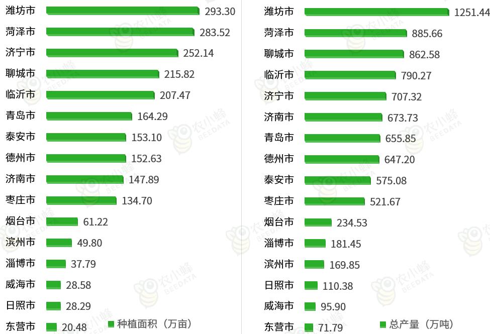 山东省蔬菜产业发展政策,山东蔬菜产业布局