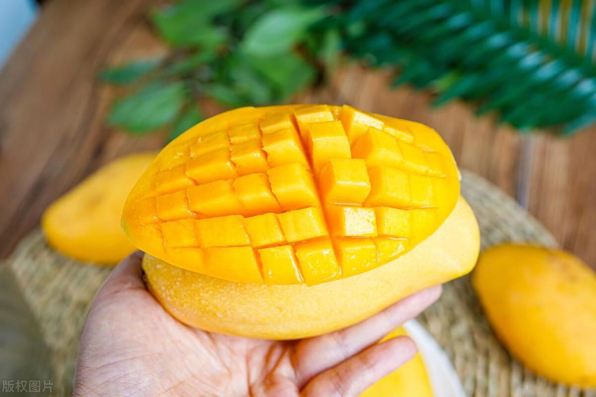 夏季水果有哪些推荐,有哪些适合夏天吃的水果推荐吗