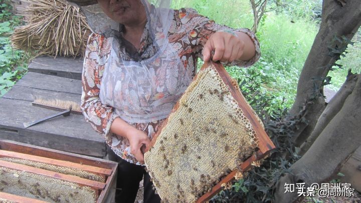 蜂蜜保质期多久保管方法,蜂蜜有保质期吗过期的蜂蜜能吃吗