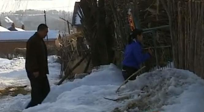 吉林男子救助傻狍子,吉林男子救助动物