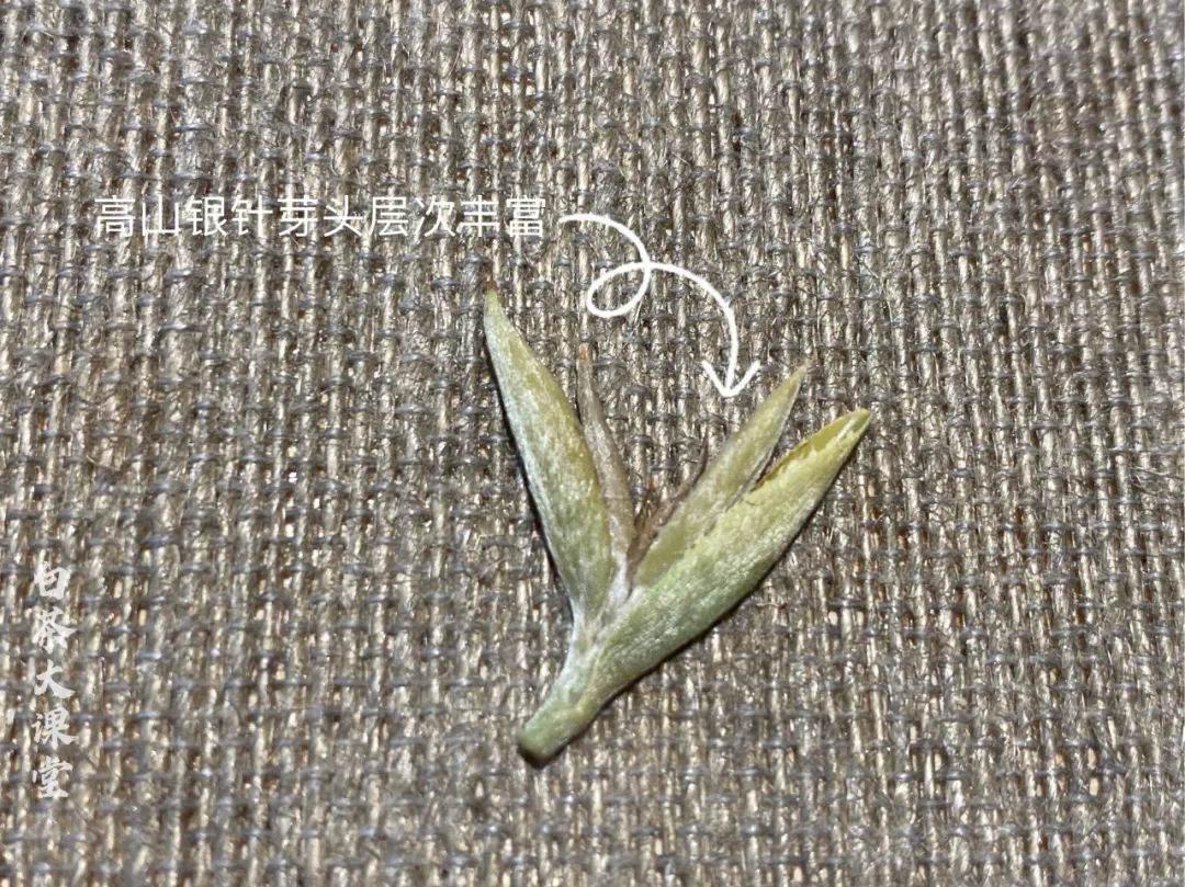 白茶是一种绿茶么,白茶是白的吗