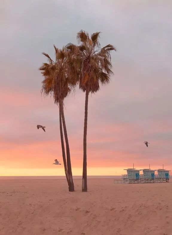 少女风太幼稚怎么办?这种活力少女路线更包容,不挑人!