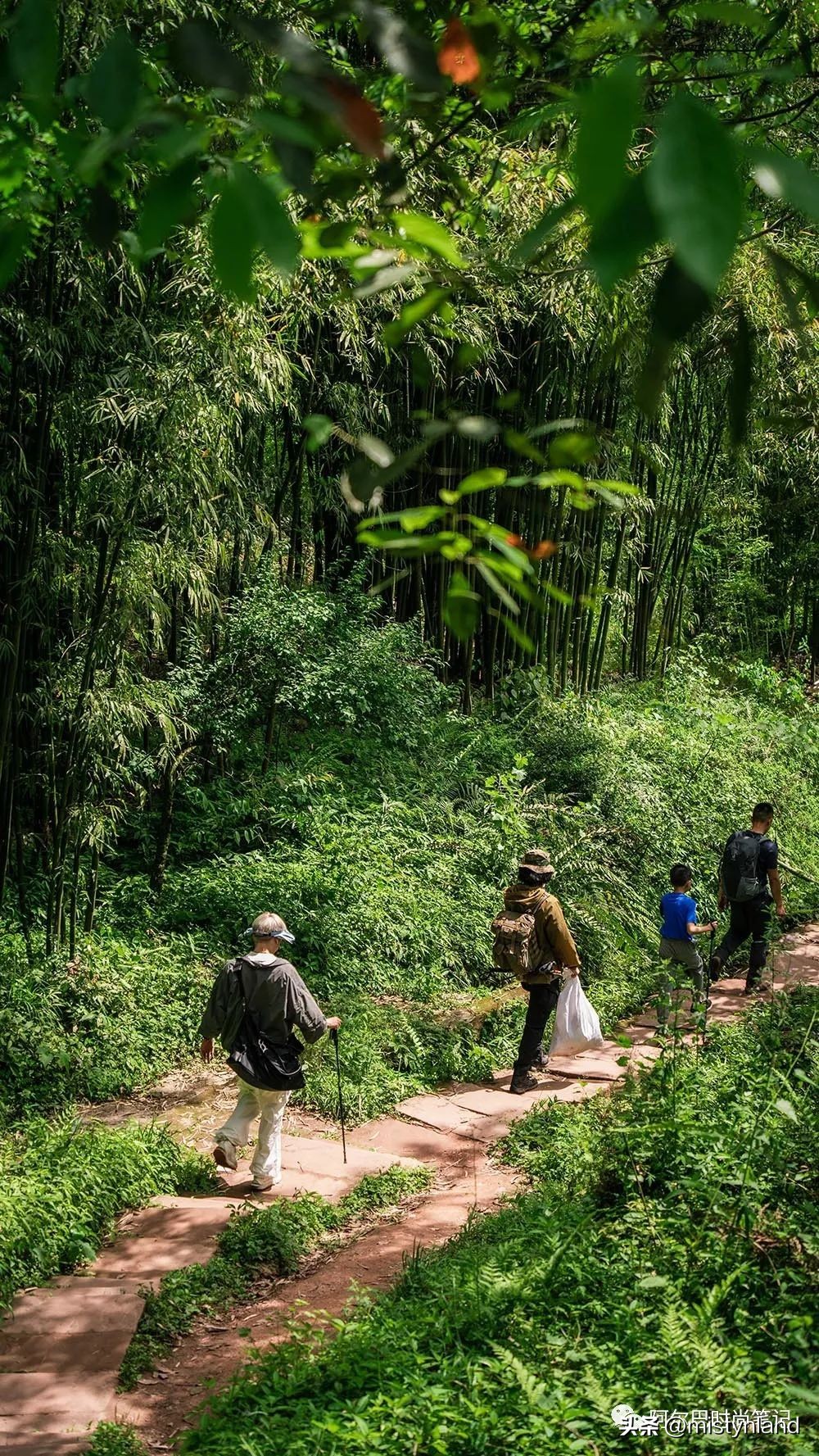 kolonsport可隆武汉,kolonsport可隆广州