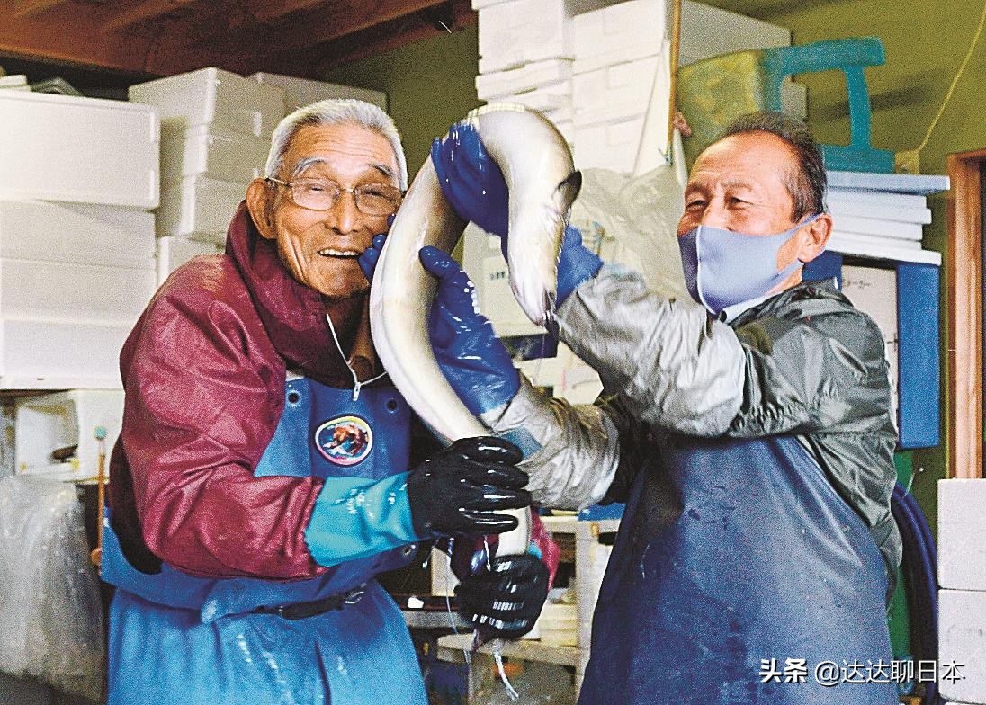 在中国张同学火了，最近在日本这位91岁的渔民火了