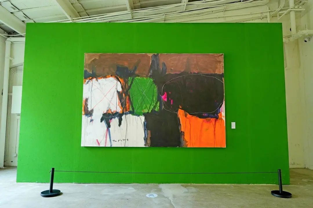 中国美术双年展2024,成都双年展绘画作品介绍