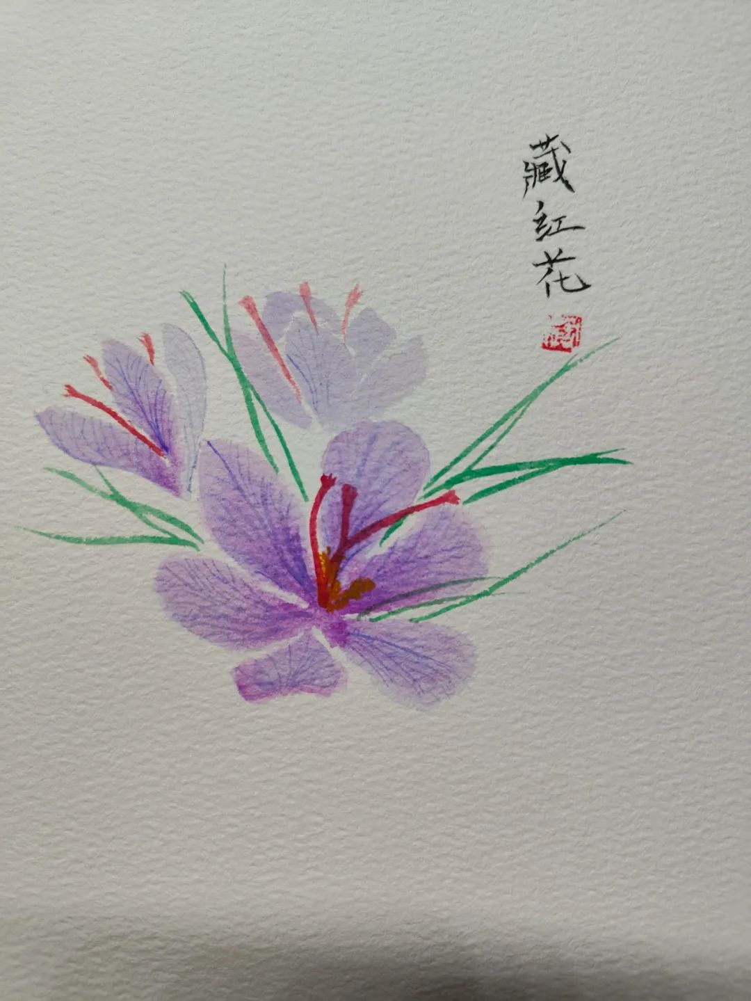 红花和藏红花泡水功效,泡脚用红花还是藏红花功效好