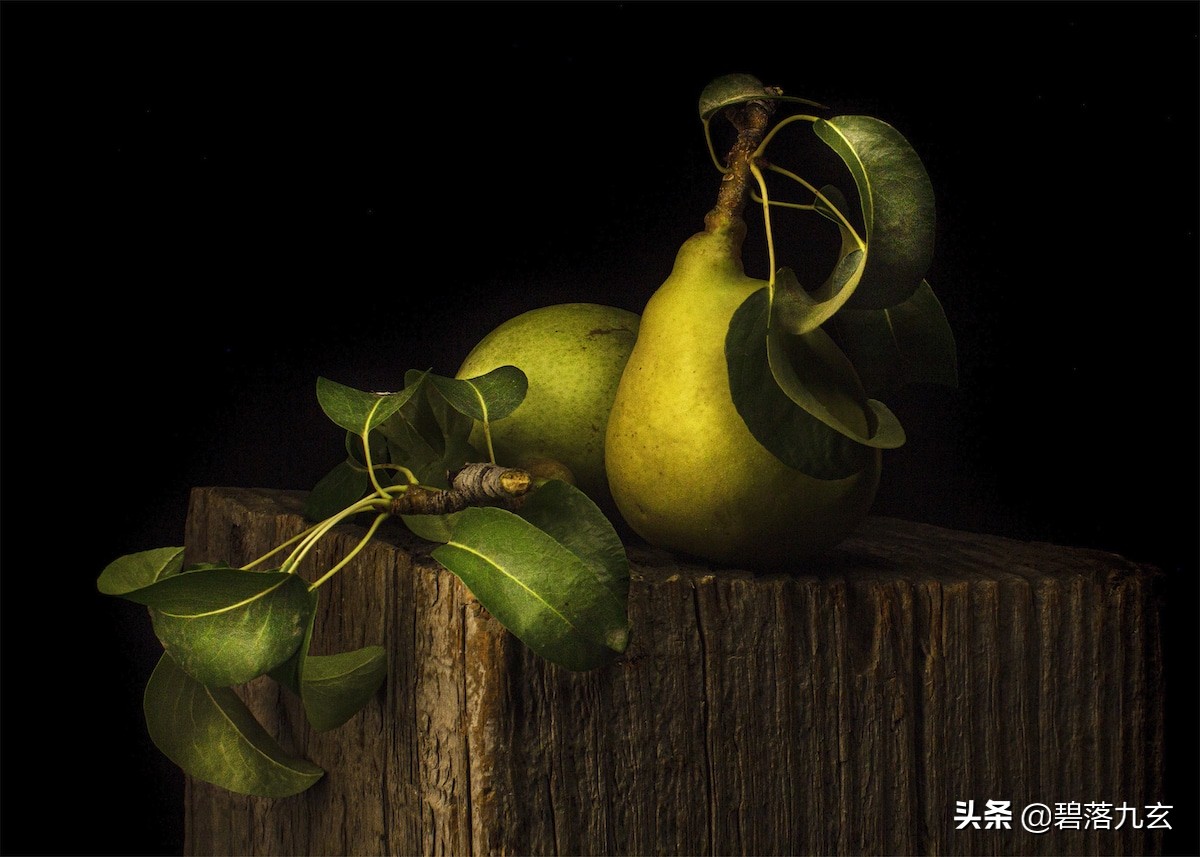 两只松鼠的爱：赢得2021年度特写摄影师挑战赛