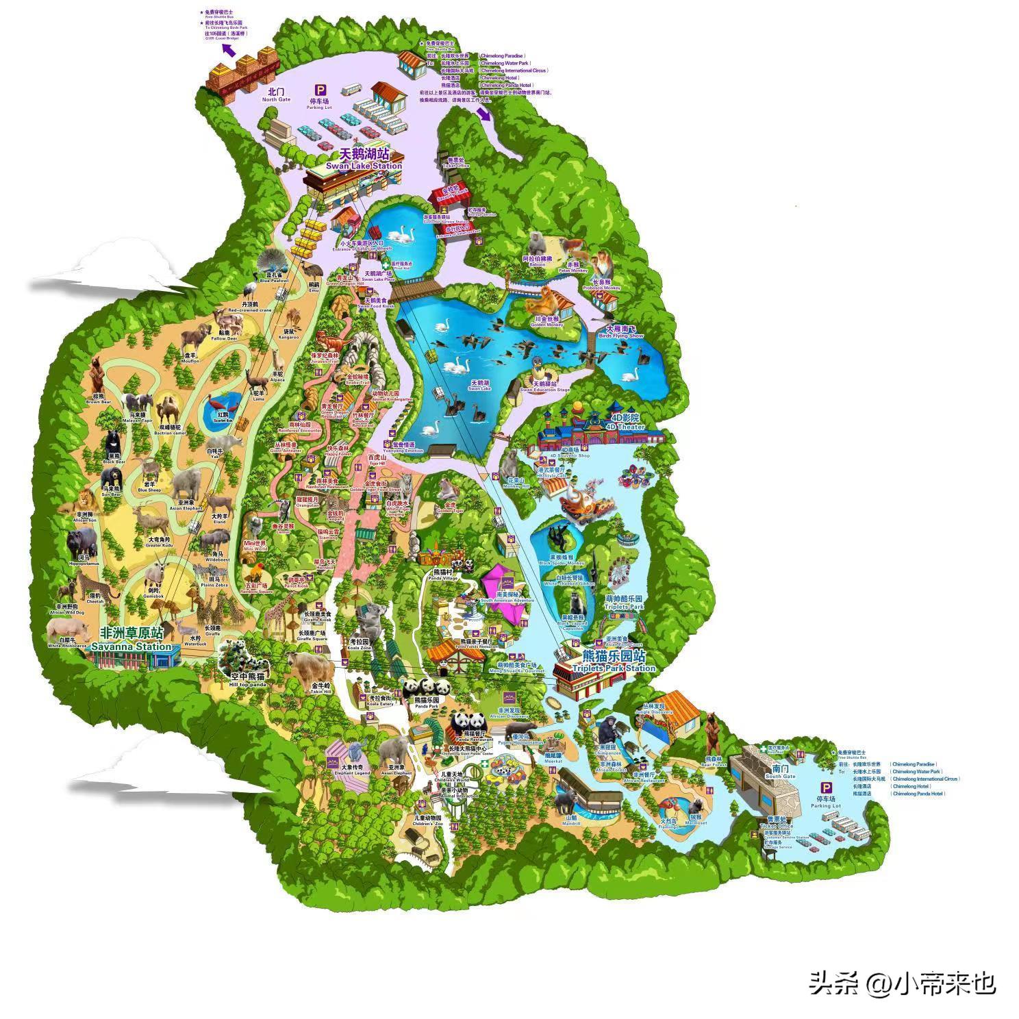 广州长隆野生动物园攻略自由行,1月广州长隆野生动物园旅游攻略