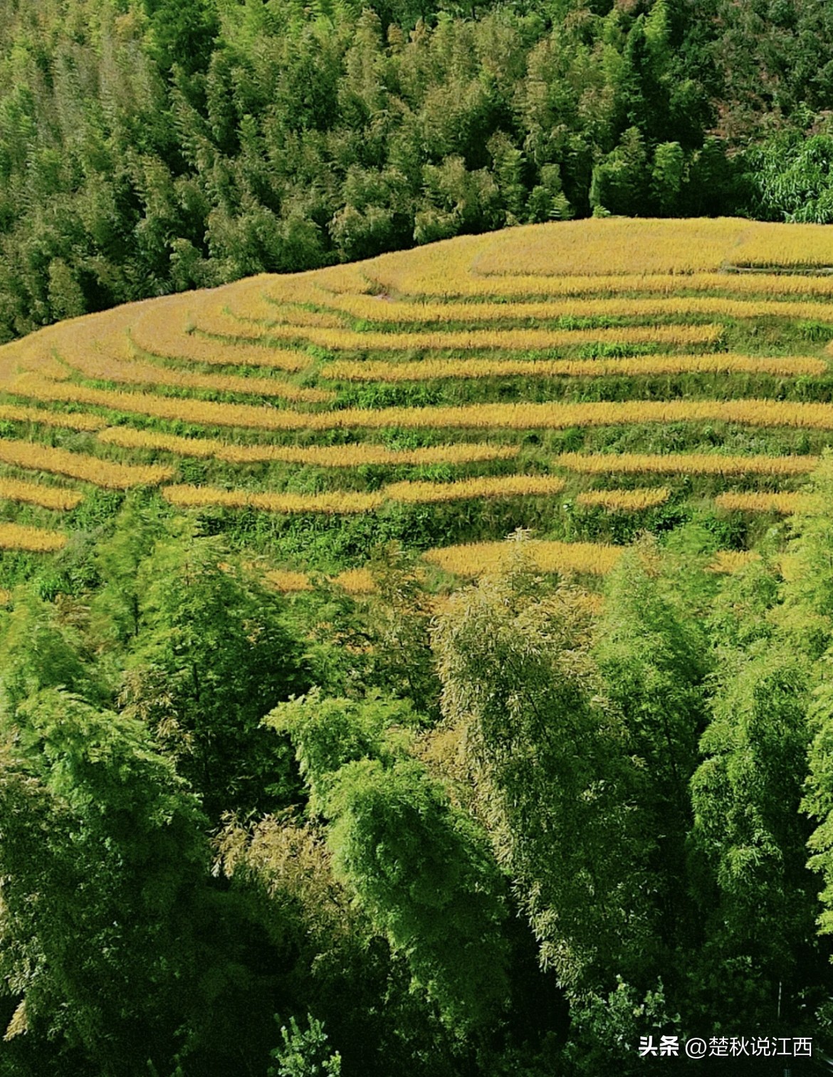 江西有哪些梯田风景区,江西梯田排名前十的梯田