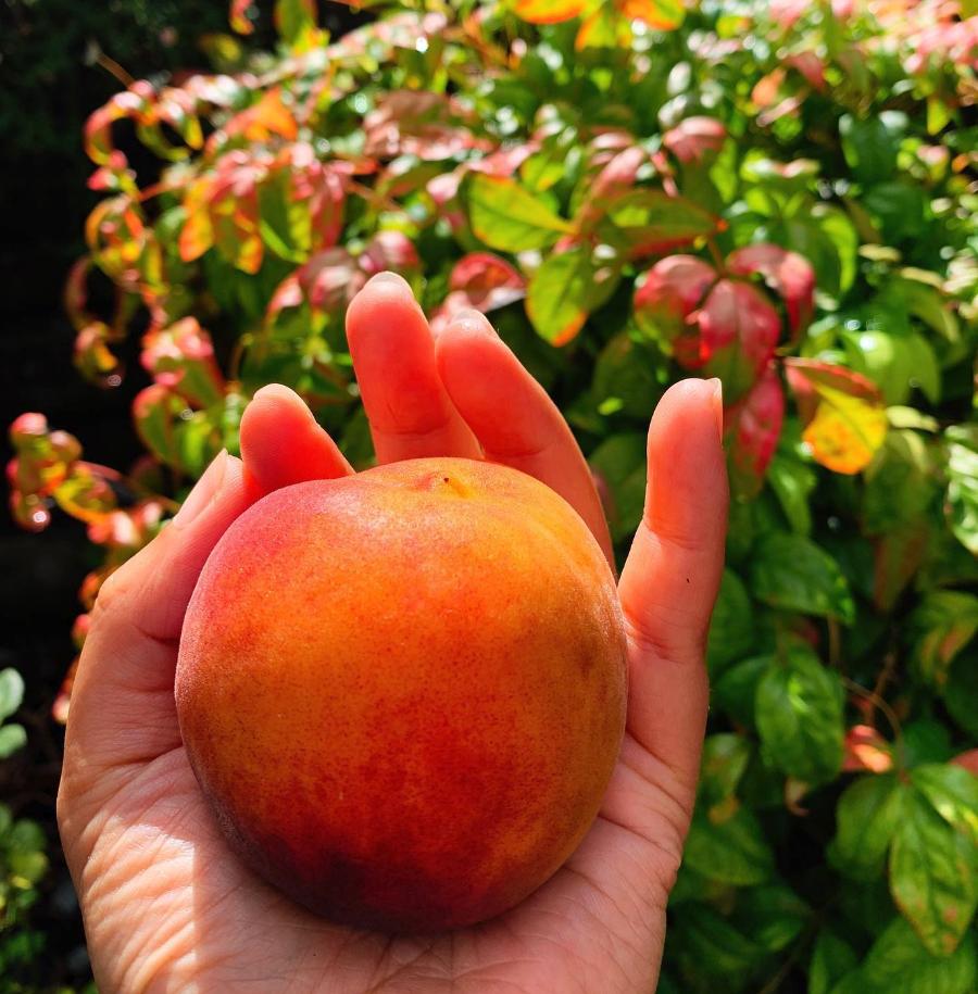 长得丑被抛弃,长得丑被人抛弃