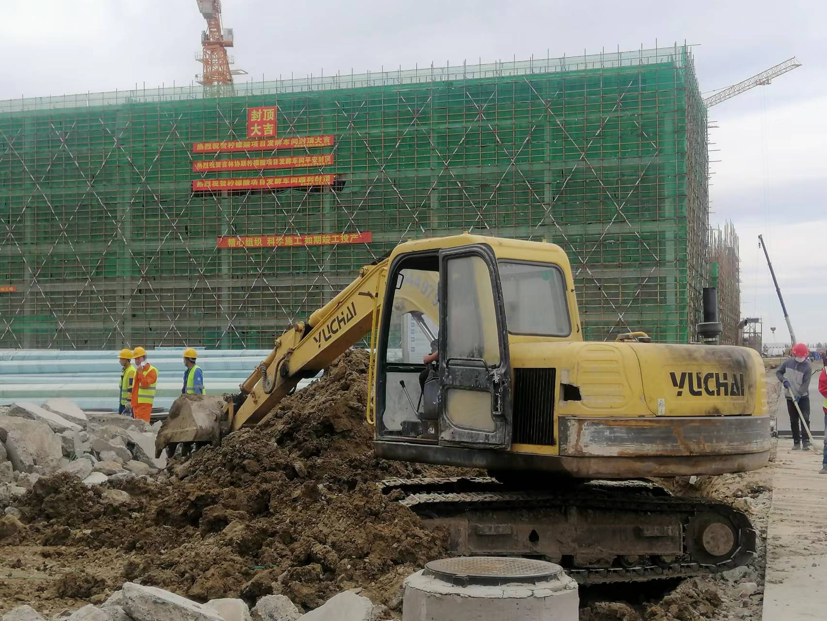 吉林镇赉柠檬酸厂,吉林柠檬酸价格多少