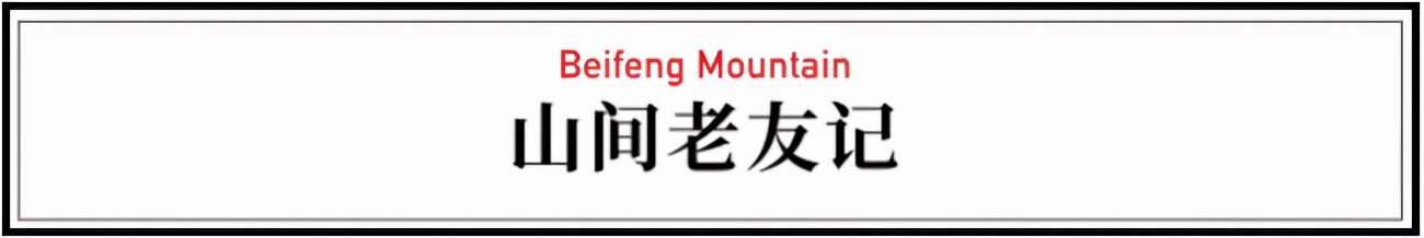 一种境界一种胸怀,独处的唯美境界