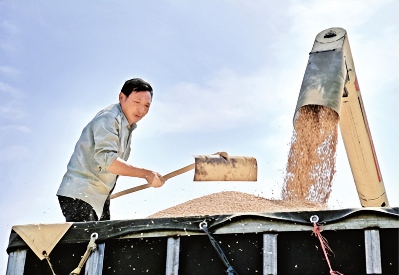 邾城街道培育示范基地推行智慧农业始终坚守“粮地姓粮”“农地姓农”