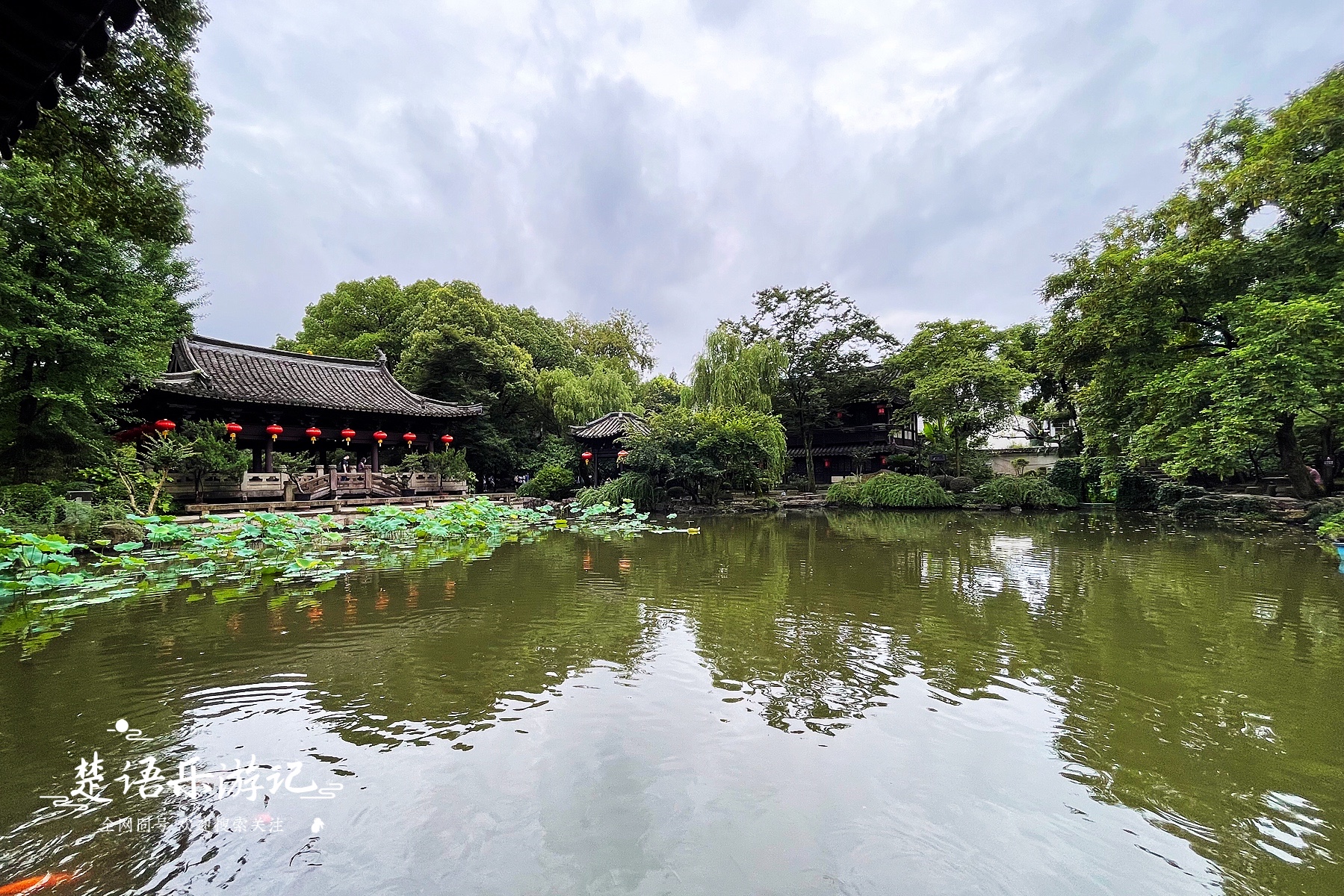 绍兴赏花一日游最佳去处,绍兴赏荷景区