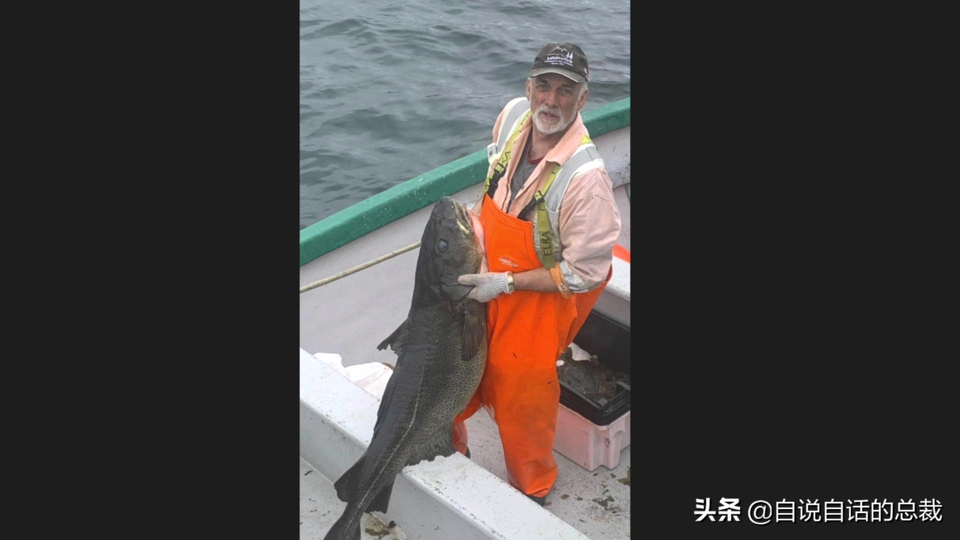 为什么鳕鱼卖的那么便宜,为什么买的鳕鱼特别松散