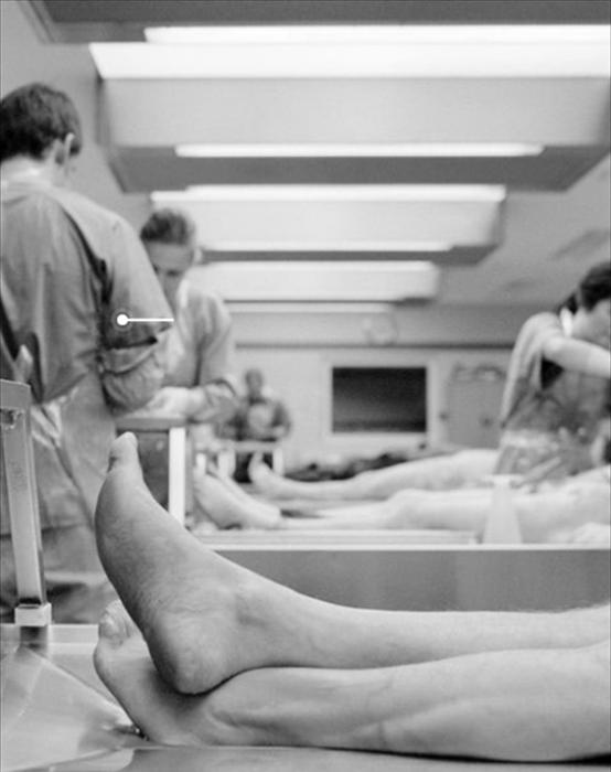 中国最早司法DNA鉴定,中国第一个dna鉴定师完整版