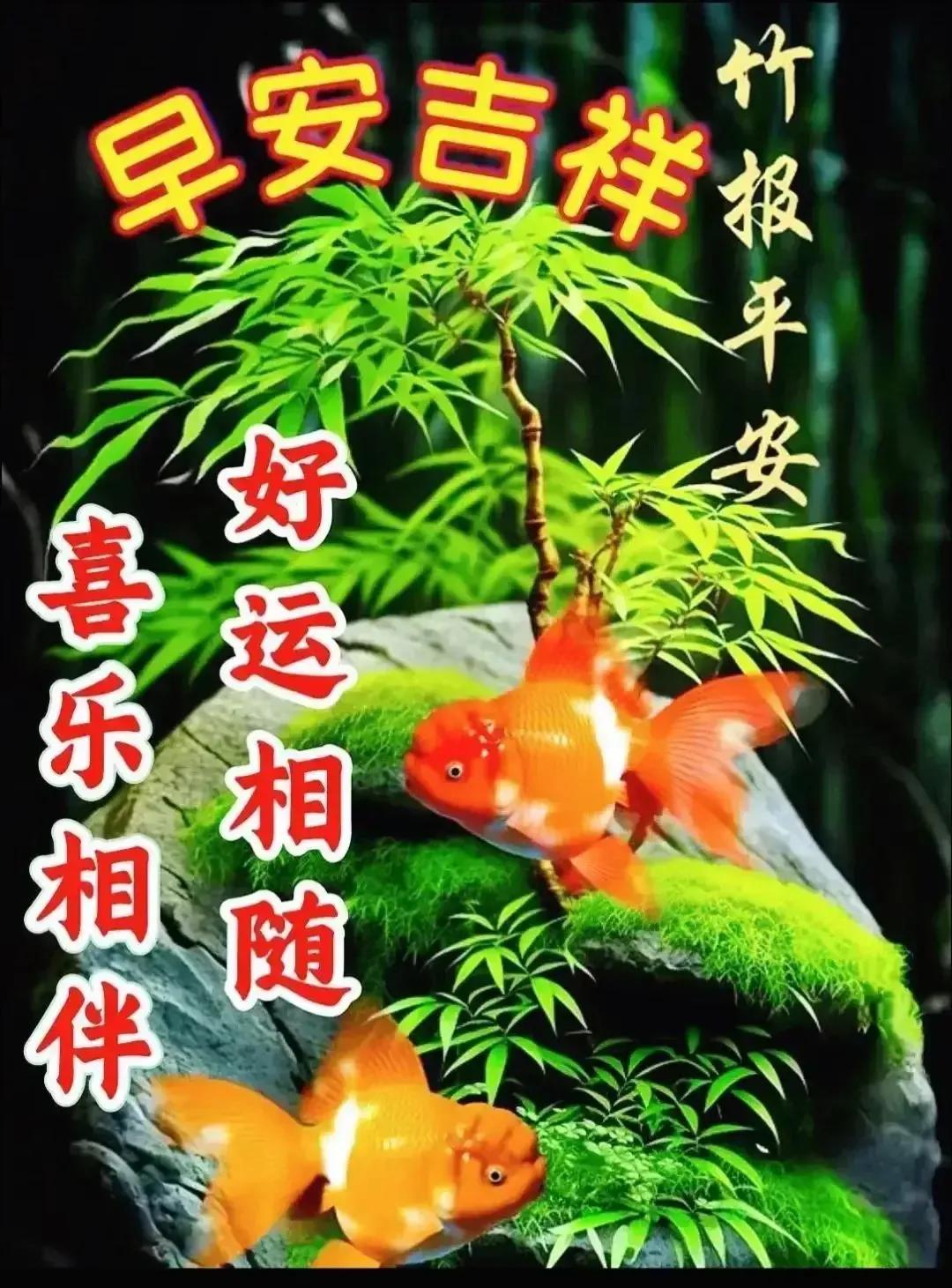 2023年农历是什么年癸卯年,农历2023年癸卯年正月结婚吉日