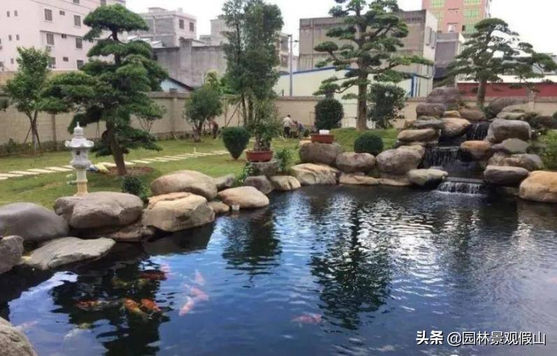 锦鲤鱼池庭院假山流水,庭院鱼池养锦鲤的正确方法