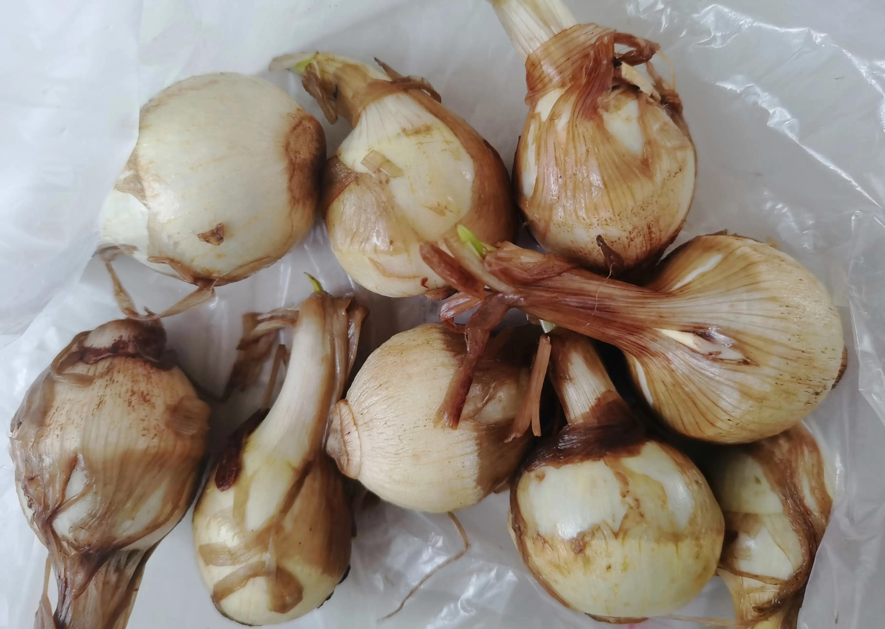 野生慈菇最好吃的做法,慈菇怎么做最好吃