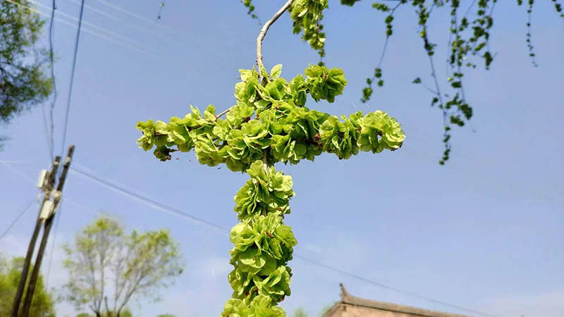 杈藉畞灏忎紮澶╃敓娌℃湁鎵嬭剼,鐢蜂汉鍑虹敓灏辨病鎸囩敳