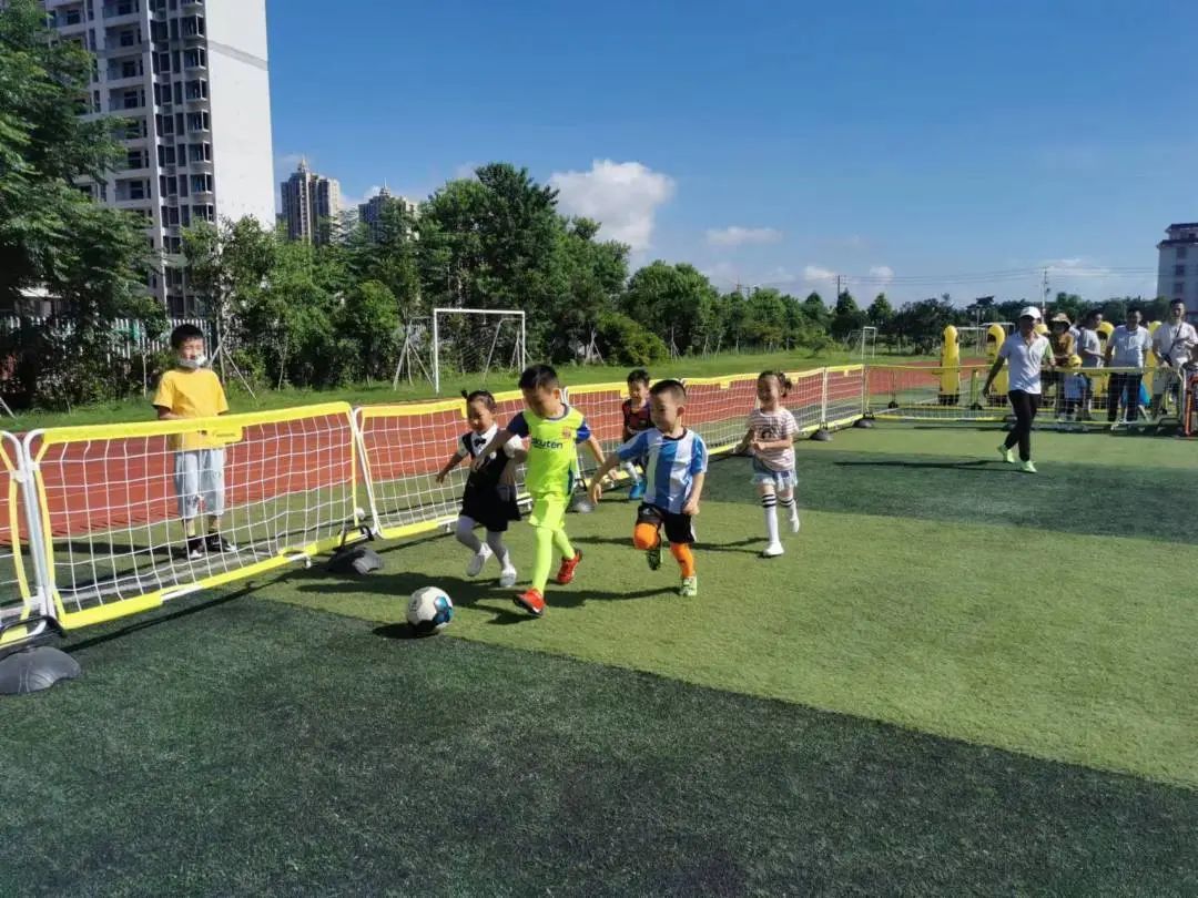 派迪茵体育产品,派迪茵体育直播