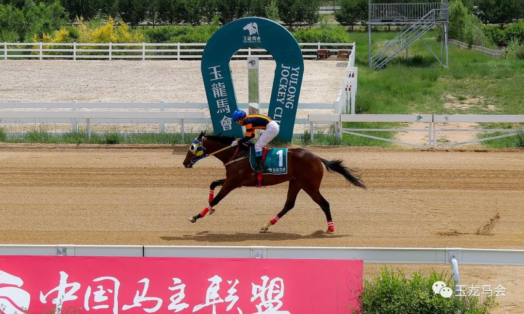 两匹2岁国产马千米跑进1分05秒！2023玉龙第7赛事日战报出炉