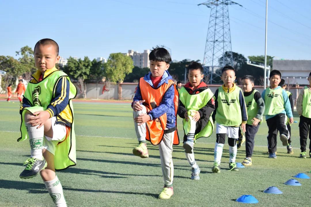 我为群众办实事学习教育主题活动,我为群众办实事教育视频