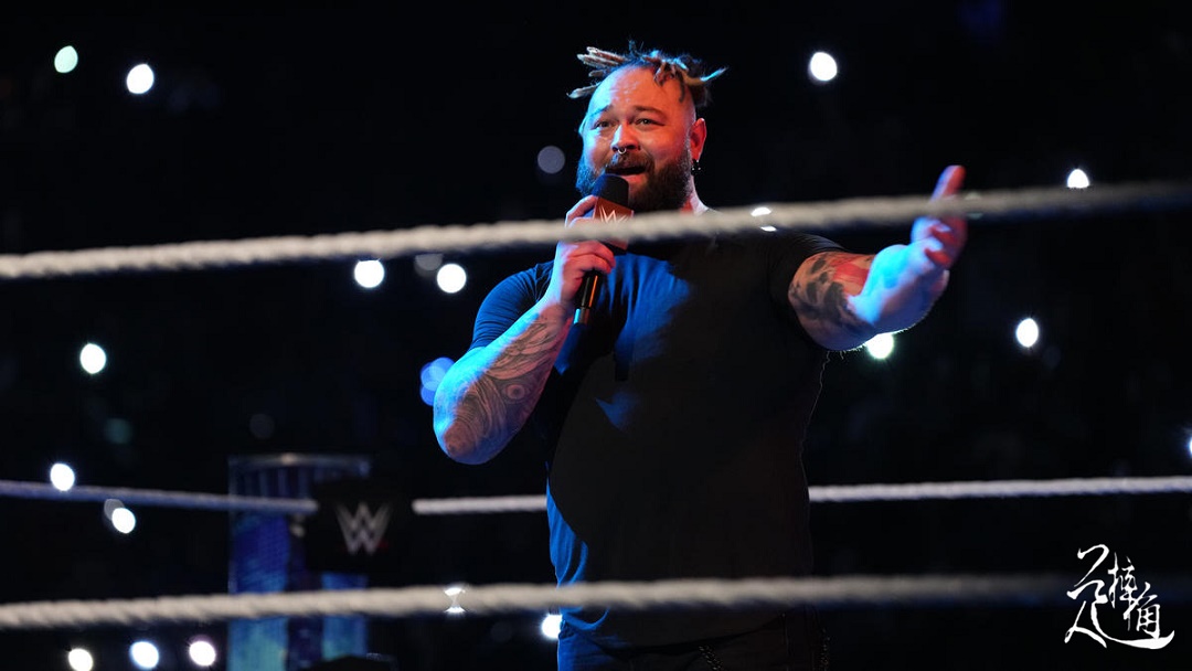 wwe雷尔转会,wwe最新一期雷尔