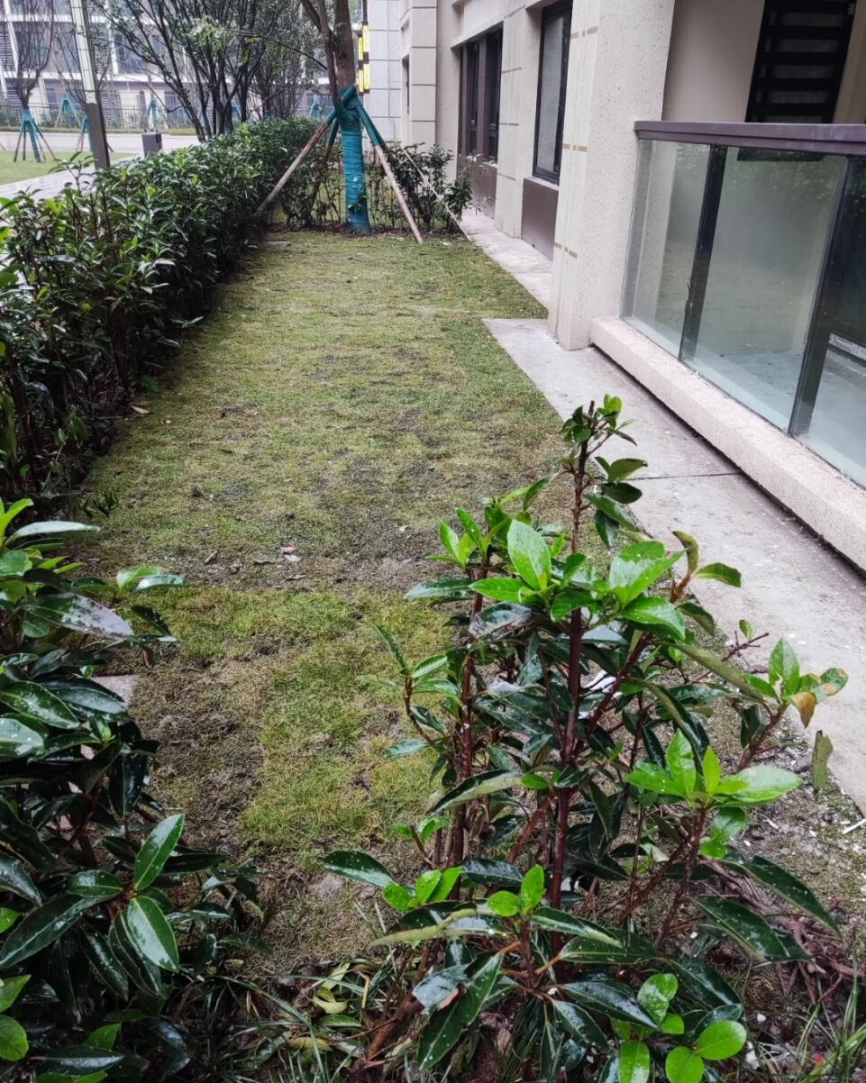 别墅一楼潮湿怎么解决,住一楼很潮湿怎么办