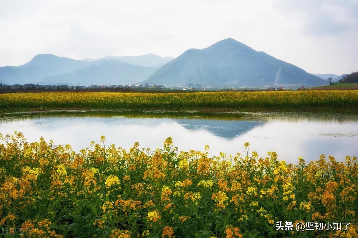 回忆童年糗事10件,我的童年糗事合集