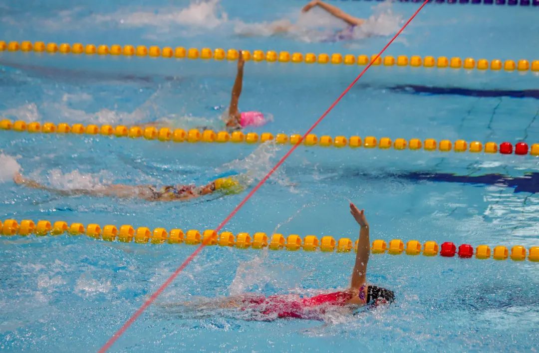 江西公开水域游泳比赛,江西游泳比赛2024安排