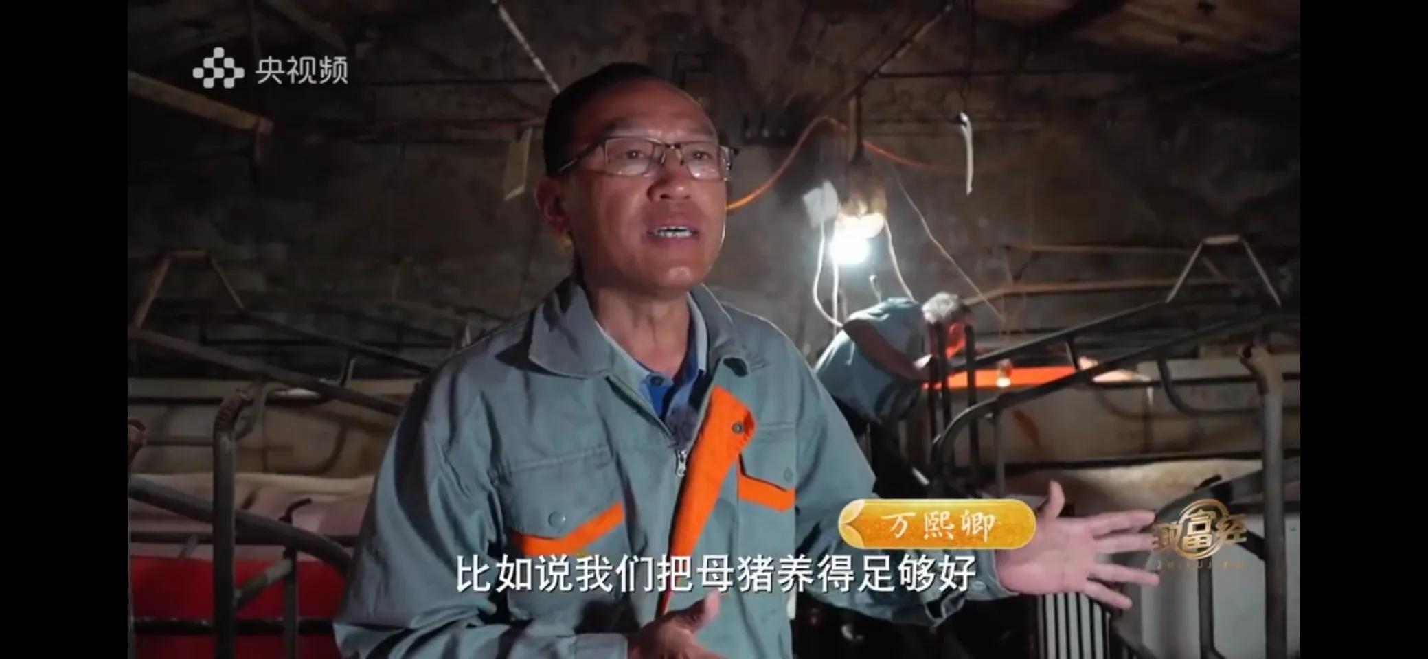 小伙子养猪5年后挣钱5多亿,农村小伙养猪赚过亿