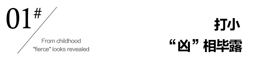 许大茂人生经历,许大茂的翻身之路