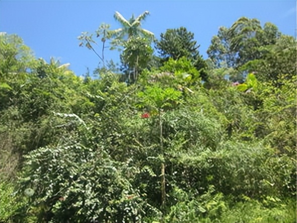 如果你突然被蛇吞下，能否划开蛇肚出逃？科学家作死实验走进蛇窝