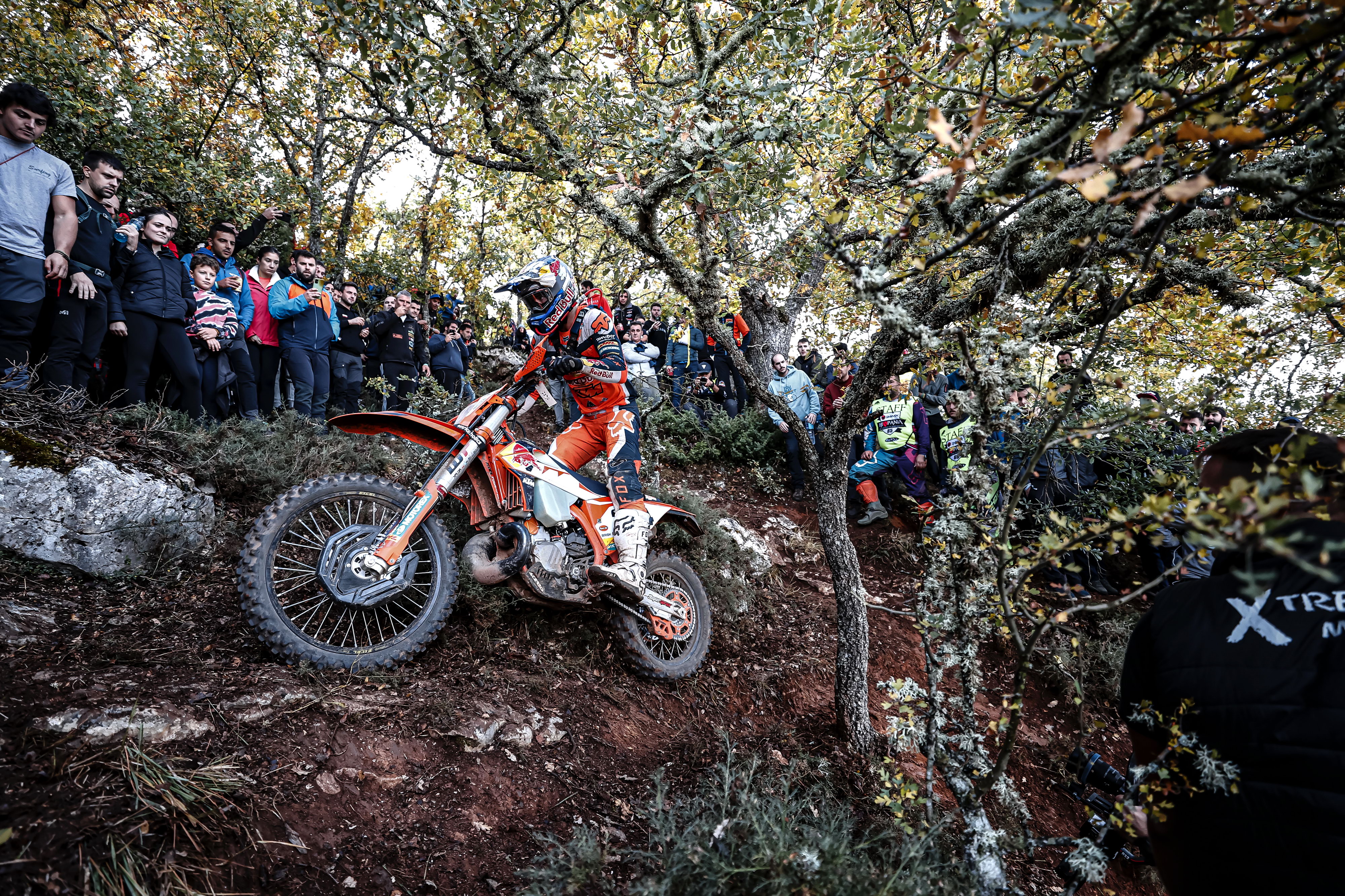 德国自行车选手七次获得冠军,世界顶级越野车大赛冠军