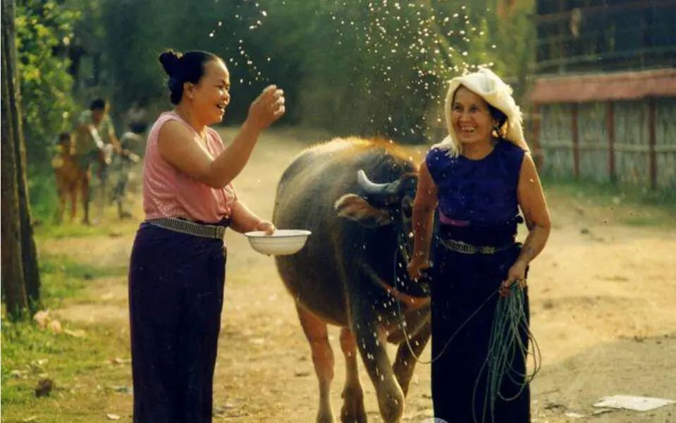 网友质疑泼水节,泼水节是娱乐活动吗