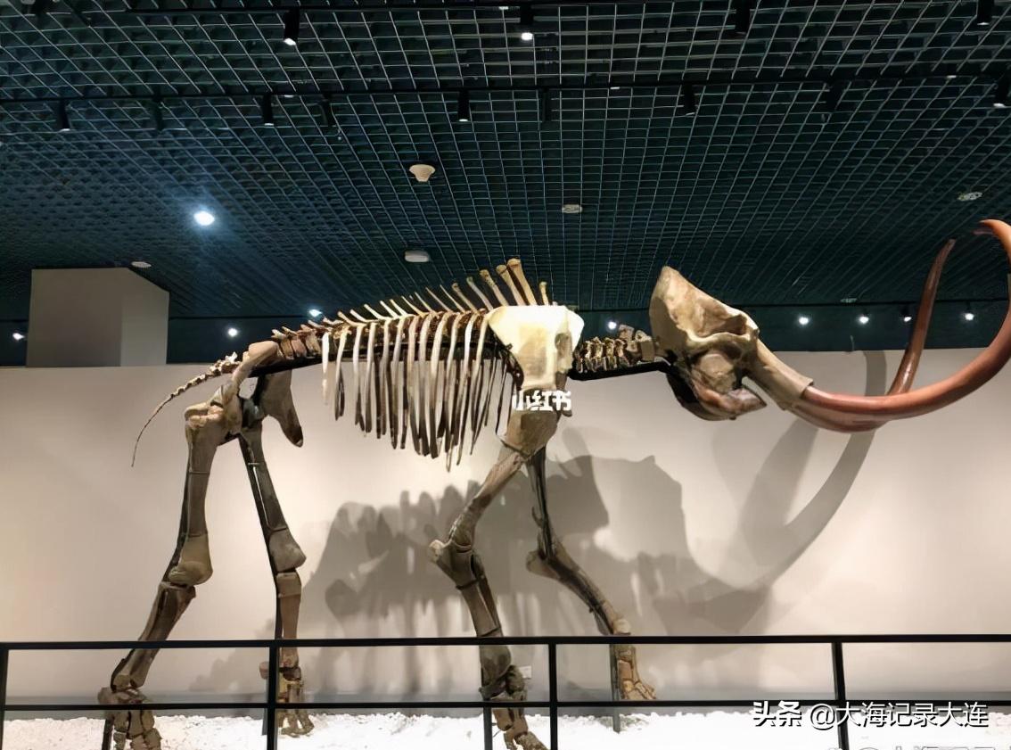 大连市沙河口区有哪些名胜古迹值得一游？