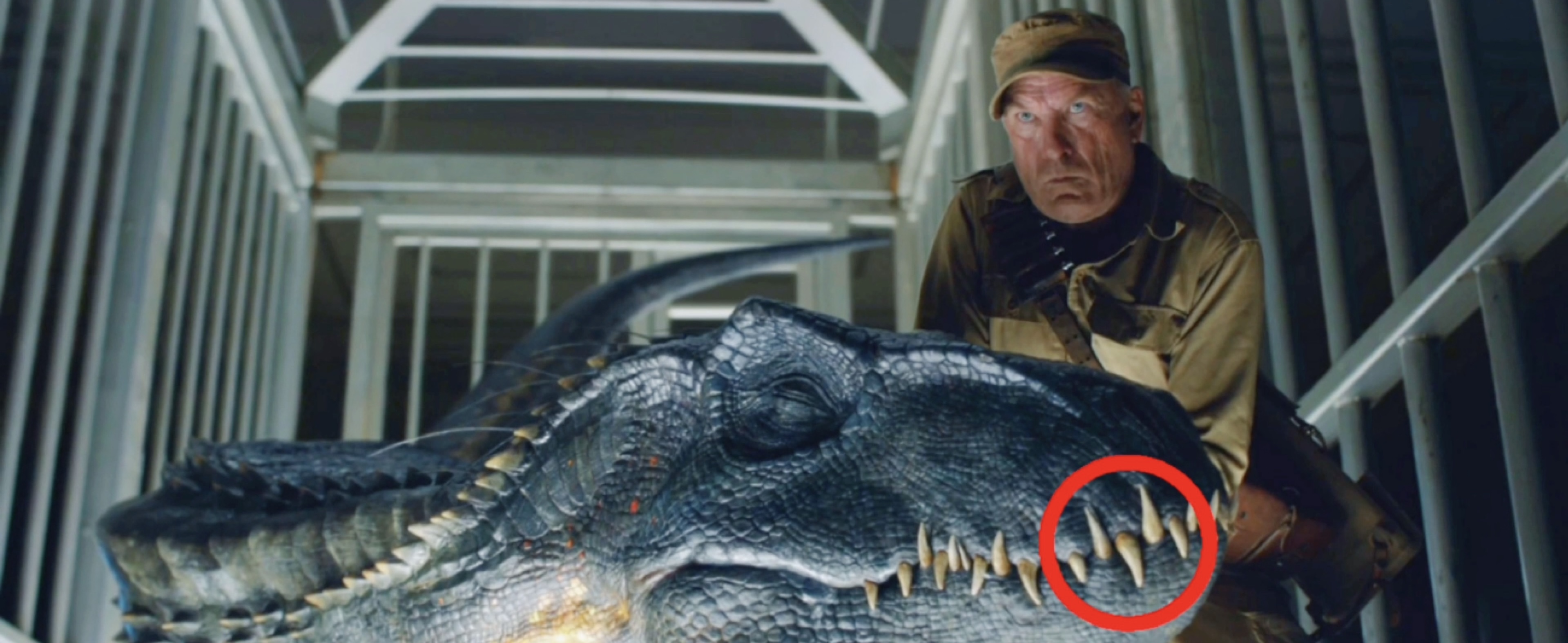 侏罗纪里面打不过霸王龙的恐龙,侏罗纪时期的恐龙迅猛龙