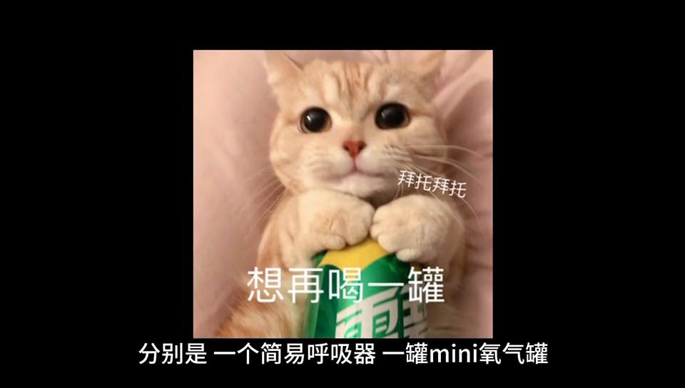 你对空姐提出什么要求吗,你对空姐满意吗